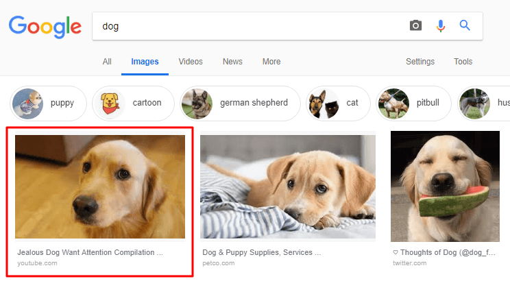 video seo trend 2019 google display video in image search